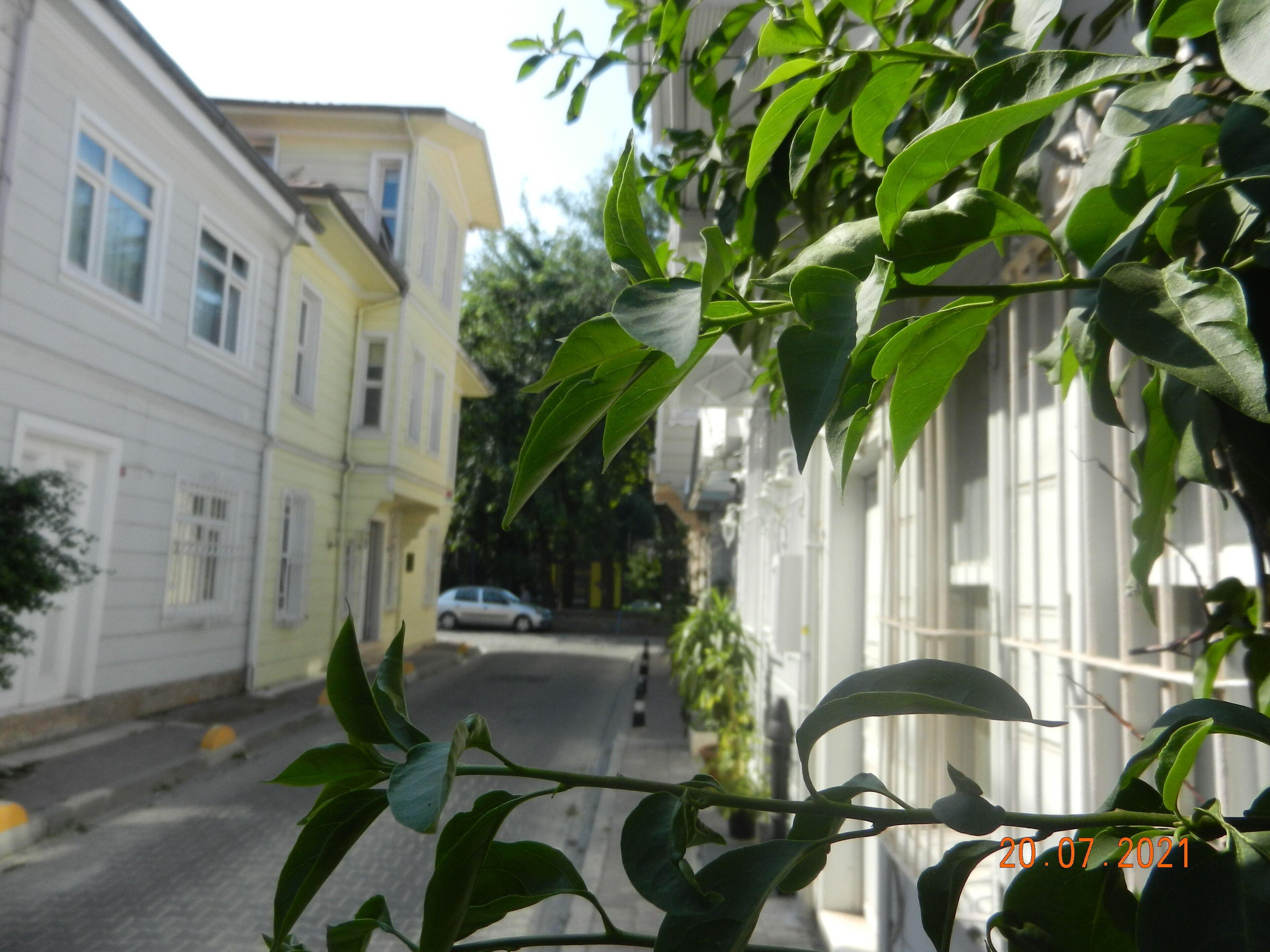 Royal Suites Sultanahmet — Foto’s 2